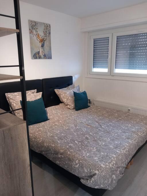 Super Appart Strasbourg 6 Pers Centre-Ville Ideal المظهر الخارجي الصورة