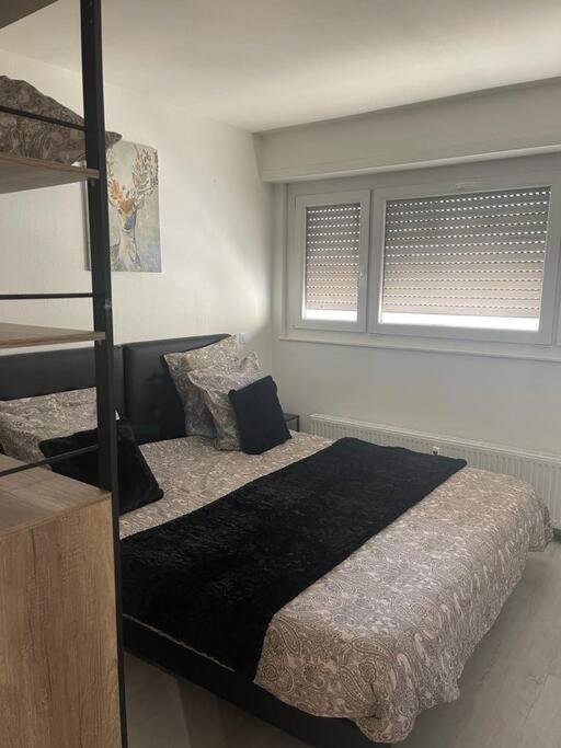 Super Appart Strasbourg 6 Pers Centre-Ville Ideal المظهر الخارجي الصورة